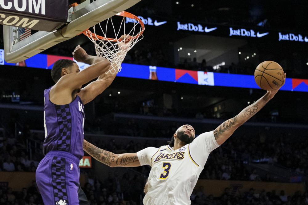 运动领域的 运动领域的